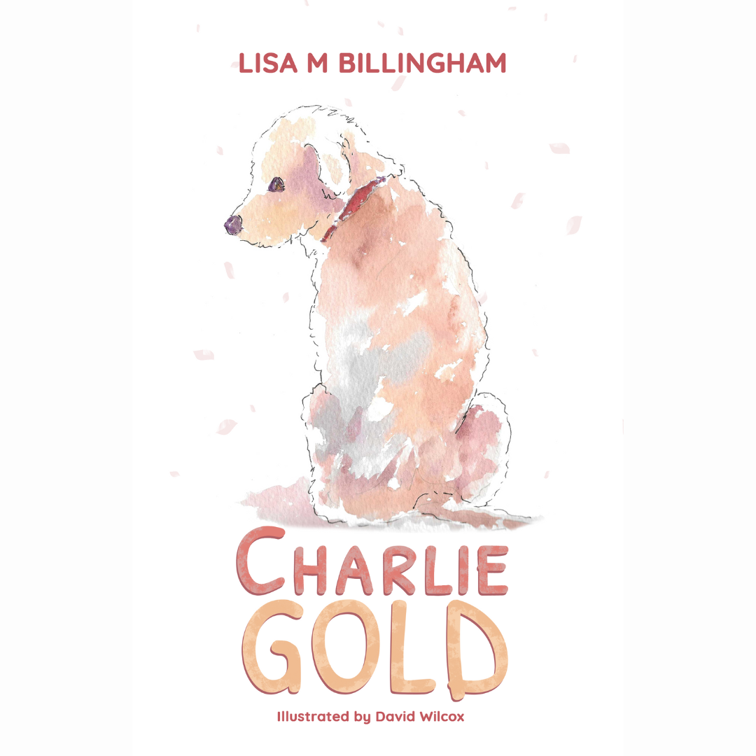 Lisa M Billingham - Multi-Genre Author, Inspirational Speaker, Workshop Facilitator